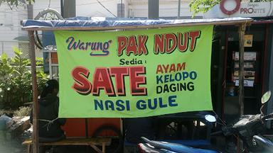 SATE PAK NDUT