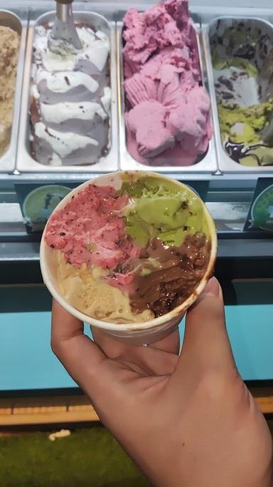 SCOOP GELATORIA