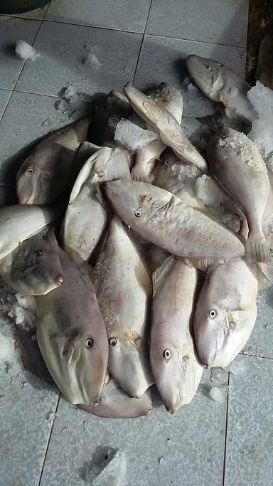 TB KANTATA SUPPLIER HASIL LAUT