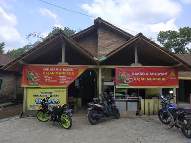 BAKSO GAJAH MUNGKUR WONOGIRI