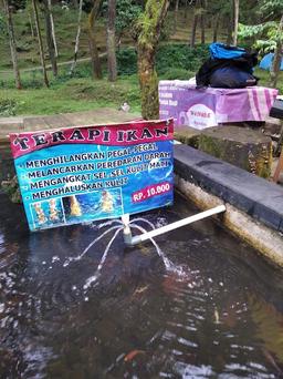 Photo's Wisata Alam Curug Nangka