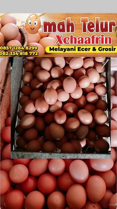 OEMAH TELUR & FROZEN FOOD XCHAAFRIN