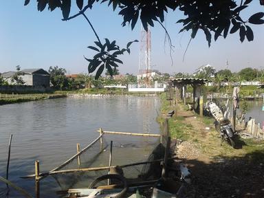 PEMANCINGAN NILA STASIUN JERAKAH