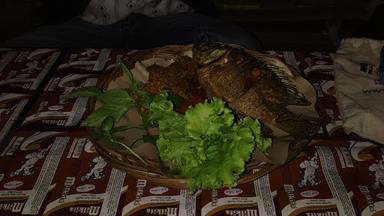 WARUNG LALAPAN BEBEK DAN AYAM GORENG TOEMPANG