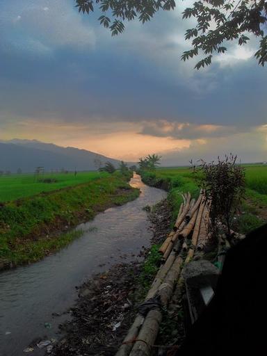 WARKOP OM ROHIB