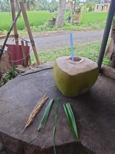 COCONUT MAN NYOMAN