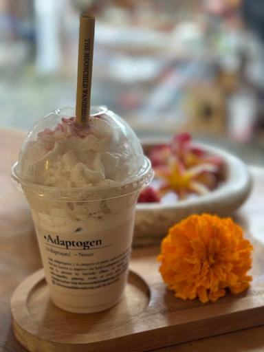 THE MOONCHILD WANDERING: ADAPTOGENIC CAFE