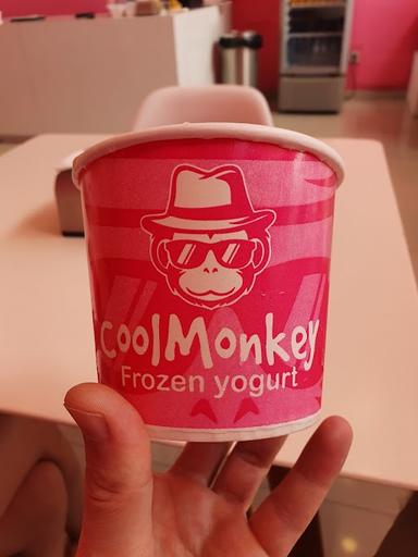 COOL MONKEY FROZEN YOGURT