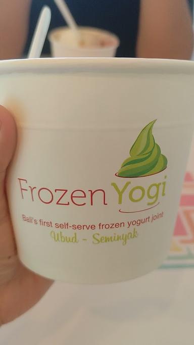 FROZEN YOGI