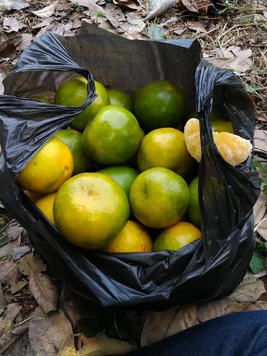 WARUNG SEGO JAGUNG SITARDA