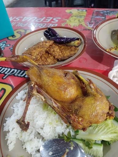 BEBEK & AYAM KAMPUNG MAS BUDI