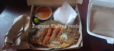 ZEGENE DAILY FRESH