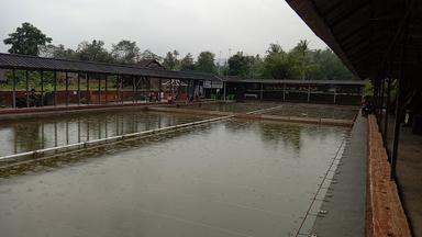 TAMAN PEMANCINGAN SAUNG ICO