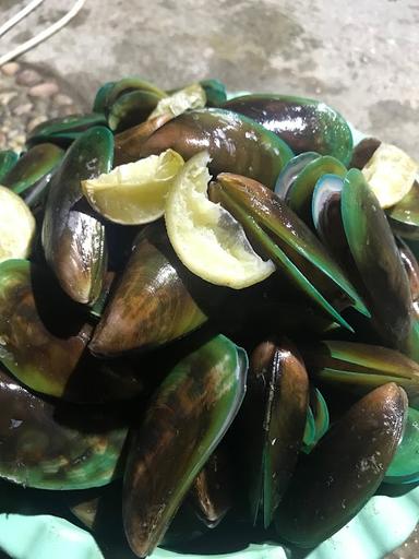 KERANG KAKI LIMA WONOSARI