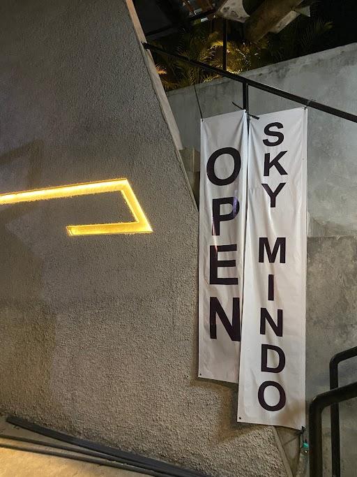 Skymindo review