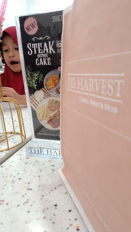 The Harvest - Cilegon review