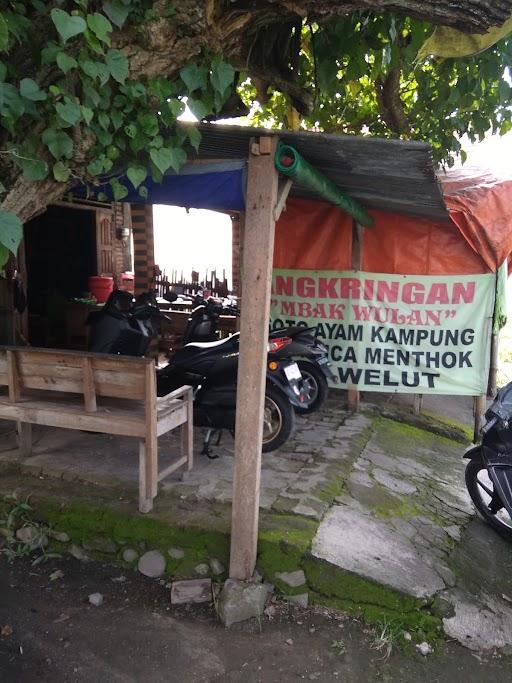 Warung Makan Mbak Wulan Sego Welut review