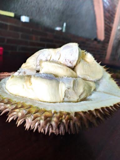 https://horego-prod-outlets-photos.s3.ap-southeast-3.amazonaws.com/horego.com/mijen/restaurant/durian-kholil-semarang/review/thumbnail/af1qipmdrai7u303q1ln9sbp5a89keyirwyy5ffjqglc.jpg