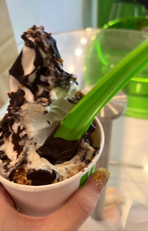 Llaollao review