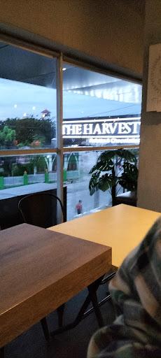 The Harvest - Pekanbaru review
