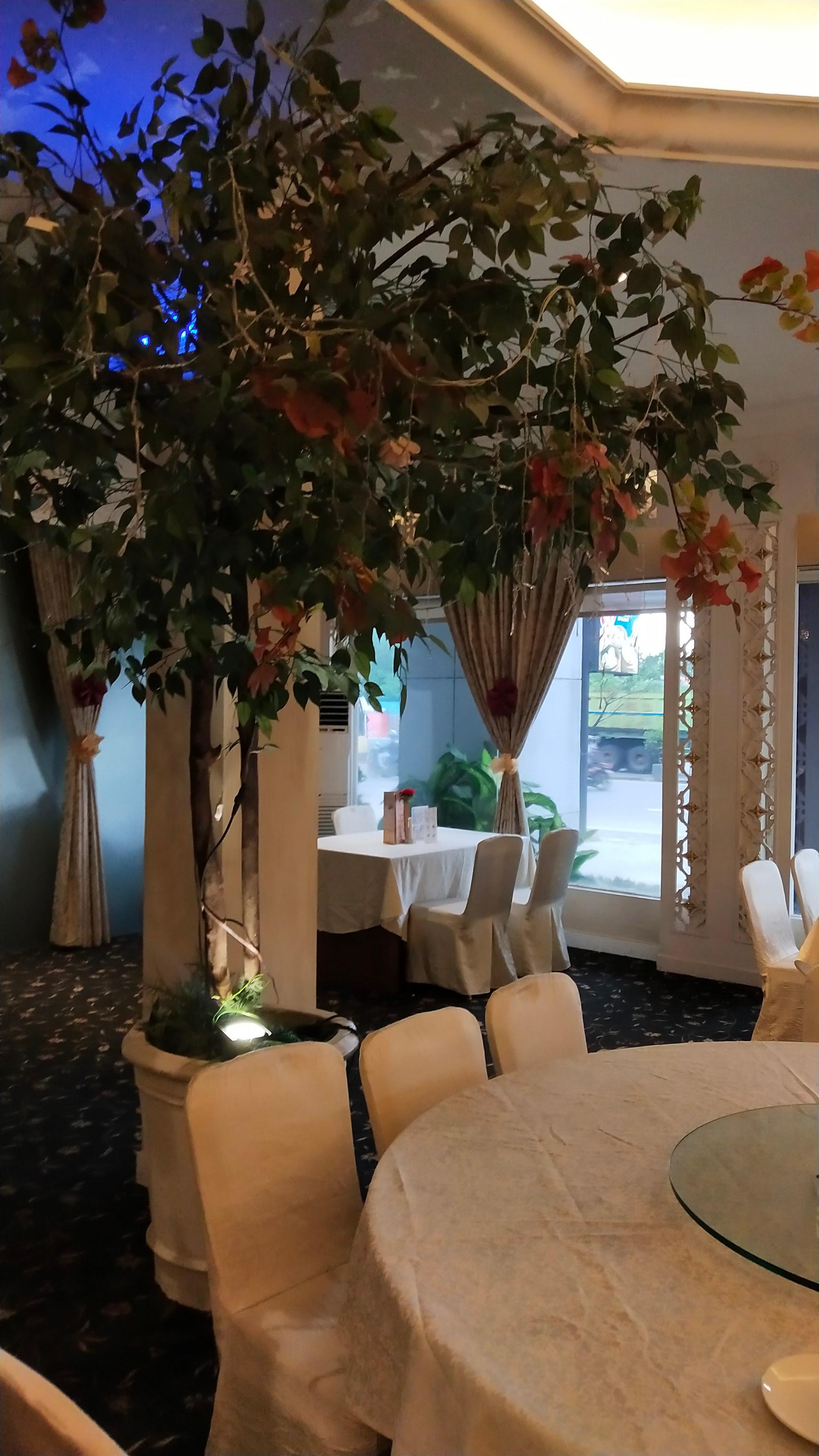 Central Restaurant & Function Hall review