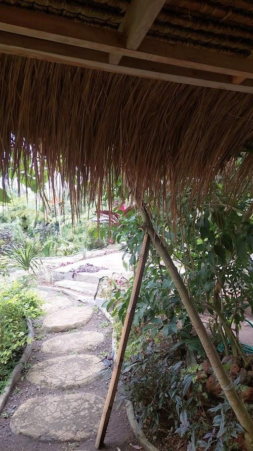 Jungle Inn Tetebatu review