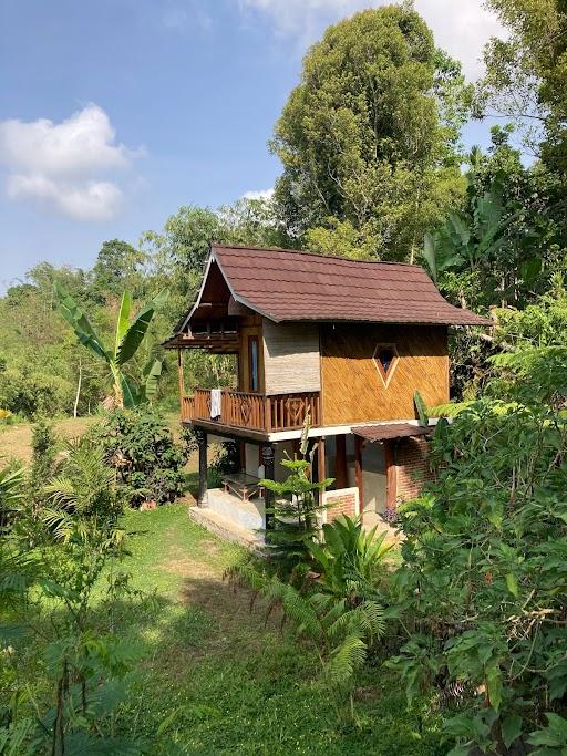 Jungle Inn Tetebatu review