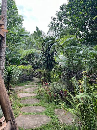 Jungle Inn Tetebatu review