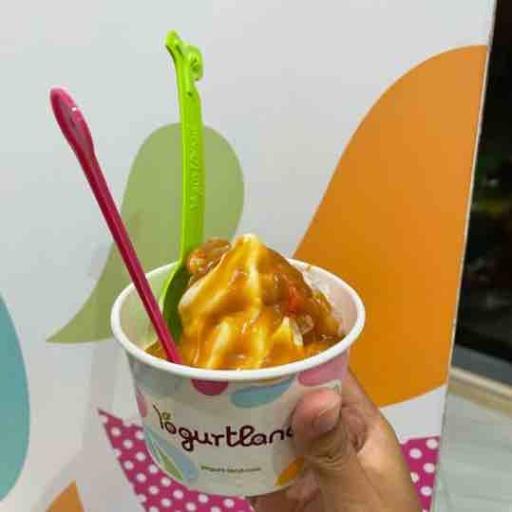 Yogurtland Cafe review