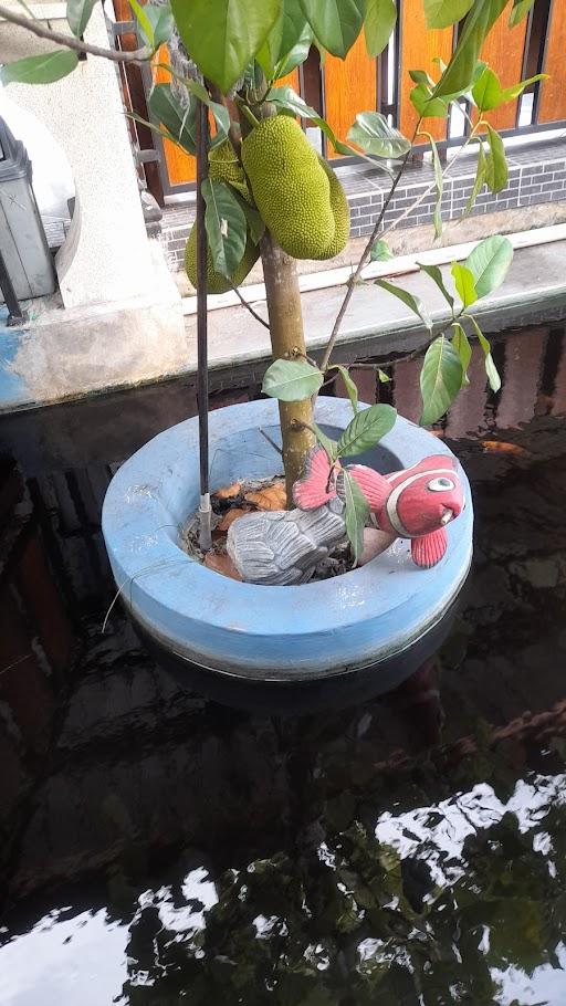 Kolam Pemancingan Dan Rumah Makan Tirto Mili review