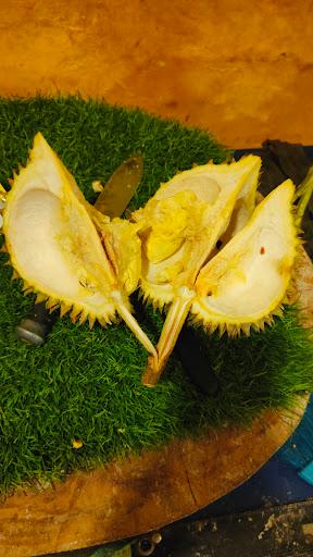 BANDAR DURIAN SOLO