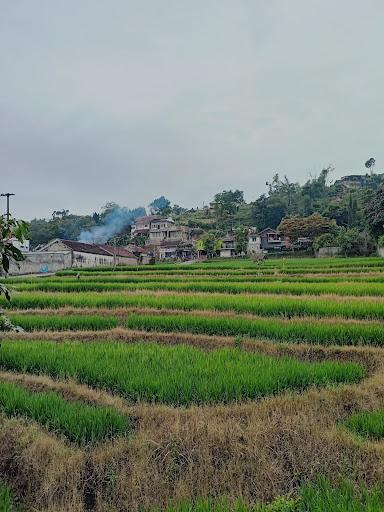 RUMAH MAKAN AMPERA PUTRI 2